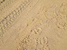 Border officers track footprints along the border